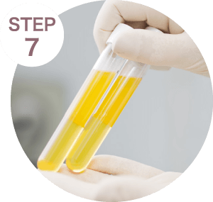 脂肪純化-新竹隆乳推薦