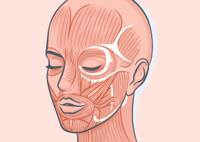 深層筋膜提拉技術-新竹臉部拉皮手術推薦